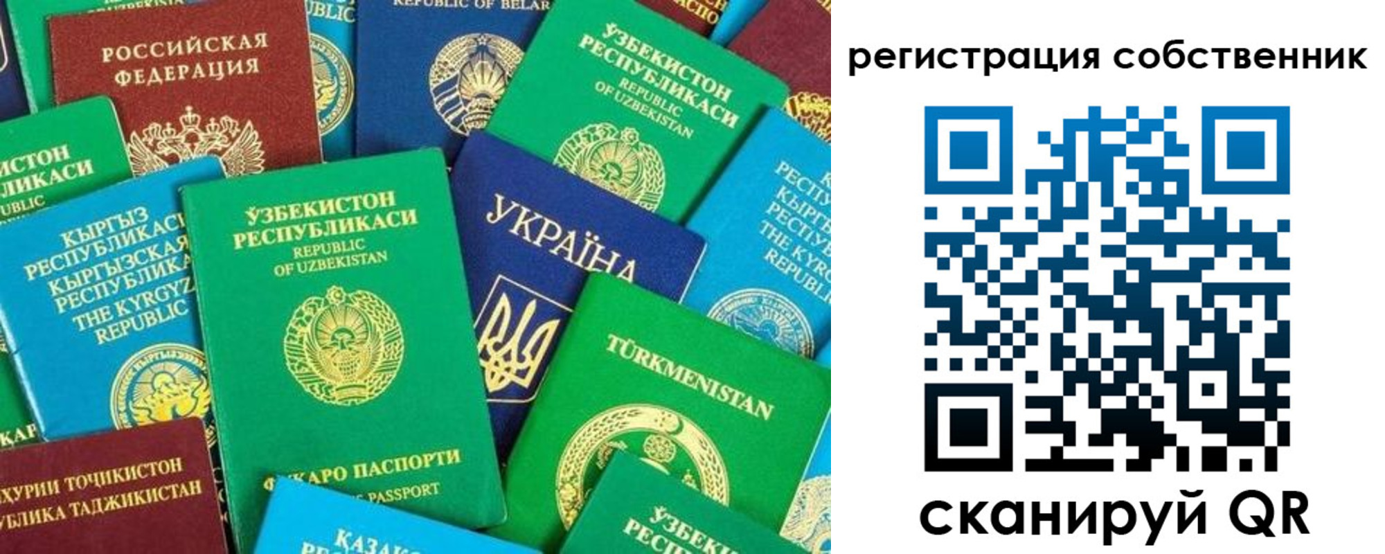 прописка в Дубне